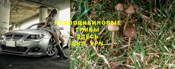 спайс Абинск