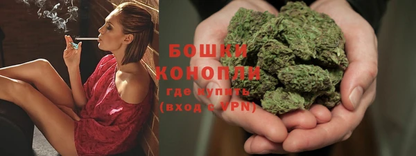 ПСИЛОЦИБИНОВЫЕ ГРИБЫ Абаза