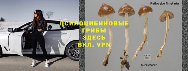 ПСИЛОЦИБИНОВЫЕ ГРИБЫ Абдулино