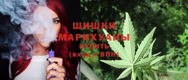 ПСИЛОЦИБИНОВЫЕ ГРИБЫ Абаза