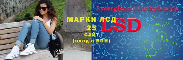 ПСИЛОЦИБИНОВЫЕ ГРИБЫ Абаза
