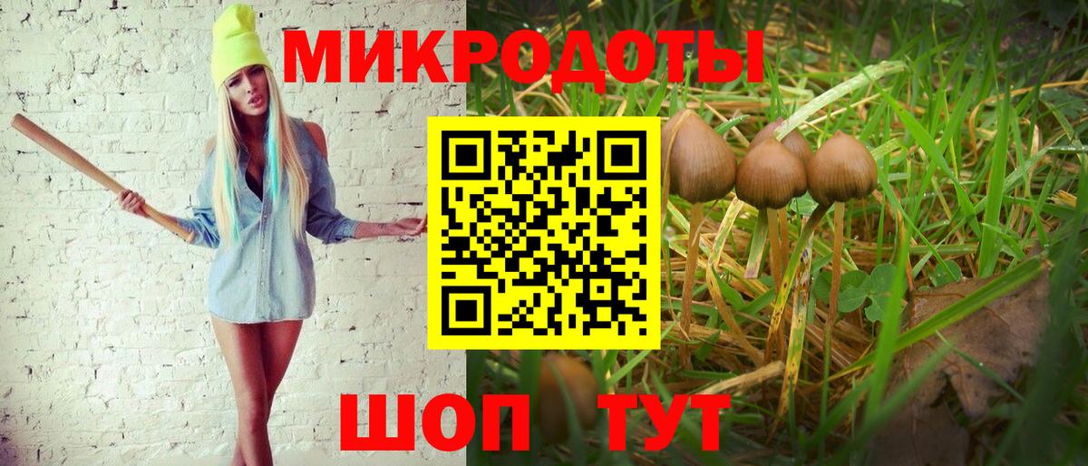 Ханты-Мансийск  Псилоцибиновые грибы Cubensis  где продают   Псилоцибиновые грибы мицелий  Вход с VPN 