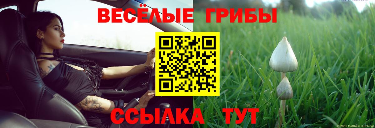 Галлюциногенные грибы Psilocybe Ханты-Мансийск